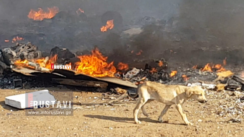 ნარჩენების დაწვის ფაქტი რუსთავში [video]