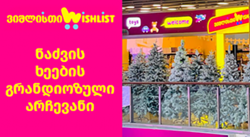 "ვიშლისთი" - ნაძვის ხეების გრანდიოზული არჩევანი