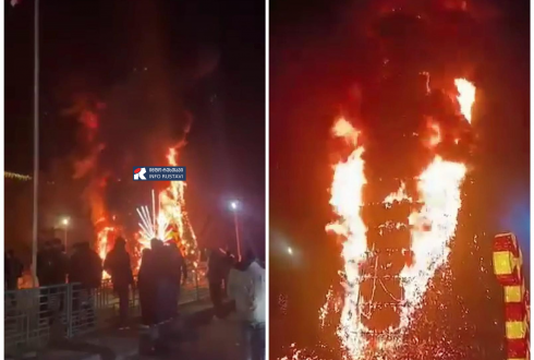 გარდაბანში ნაძვის ხის დაწვის საქმეზე გამოძიება დაიწყო