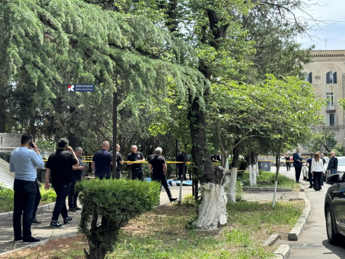 რუსთავში კაცმა ცოლი და სიდედრი მოკლა