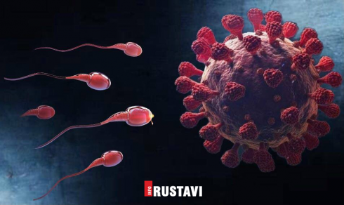 მეცნიერების ახალი კვლევა