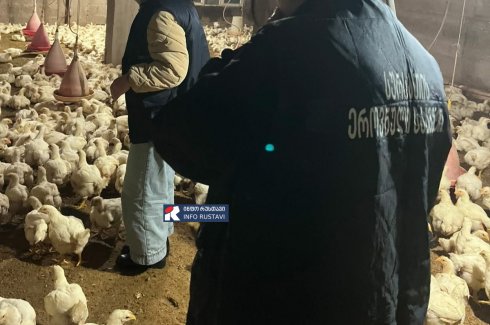 სეს-მა 2 ობიექტს საწარმოო პროცესი შეუჩერა