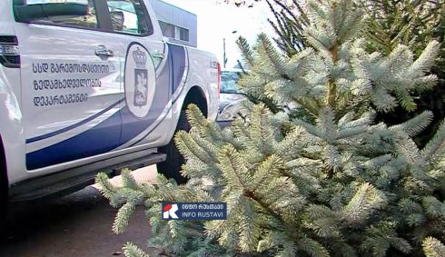 სასჯელი ითვალისწინებს ჯარიმას ან თავისუფლების აღკვეთას 5-დან 7 წლამდე