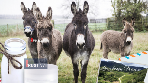 ვირის რძე შესაძლოა ექსპორტზე გავიდეს (ვიდეო)