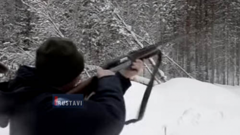 გუბერნატორმა მძინარე დათვი მოკლა [video]