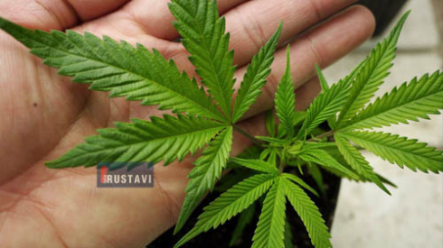 მარიხუანას მოხმარება დეკრიმინალიზებულია