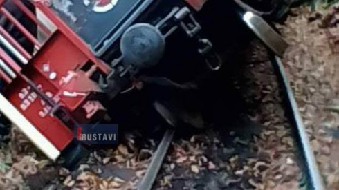 ბორჯომში კუკუშკა გადატრიალდა (ფოტო)